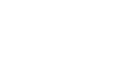 Logo deepvisions